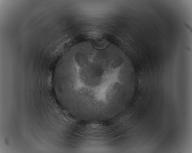 X0000101120745200807031803