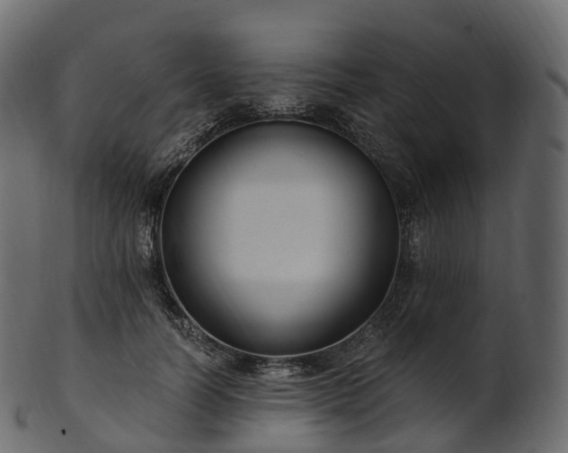 X0000101120746200807031803