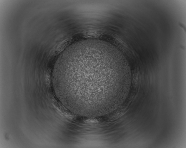 X0000101120749200807031803