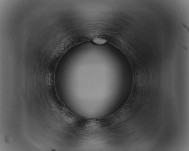 X0000101120750200807031803