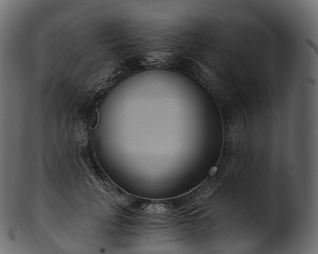 X0000101120751200807031803