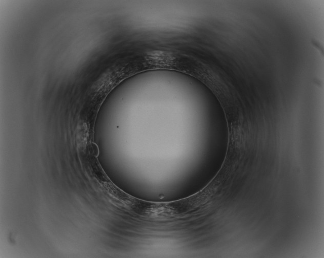 X0000101120752200807031803