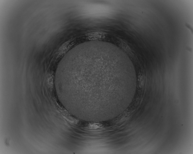 X0000101120753200807031803