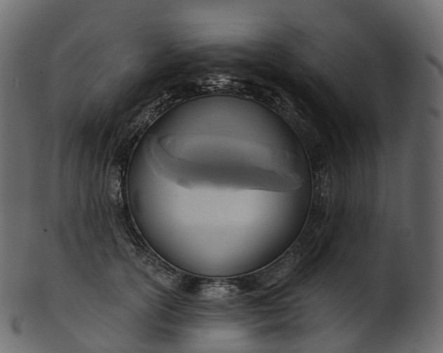X0000101120754200807031803