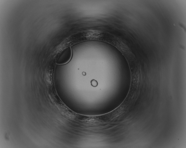 X0000101120755200807031803