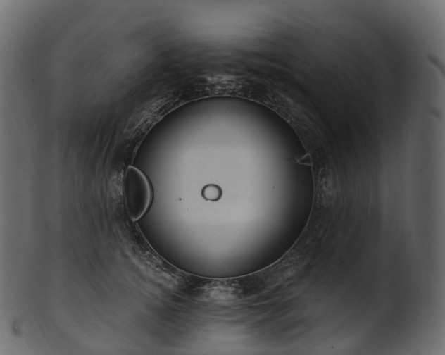 X0000101120756200807031803