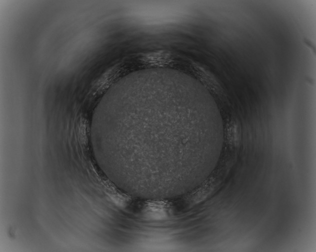 X0000101120757200807031803