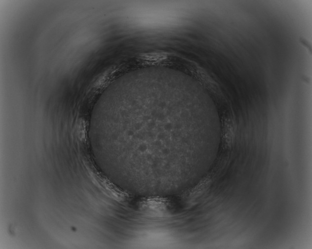 X0000101120758200807031803