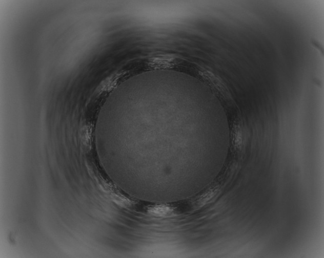 X0000101120759200807031803