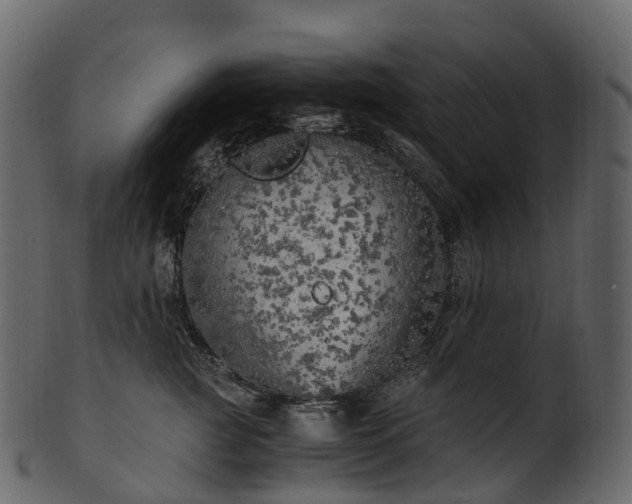 X0000101120761200807031803