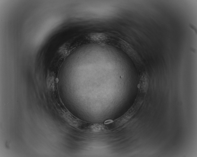X0000101120762200807031803
