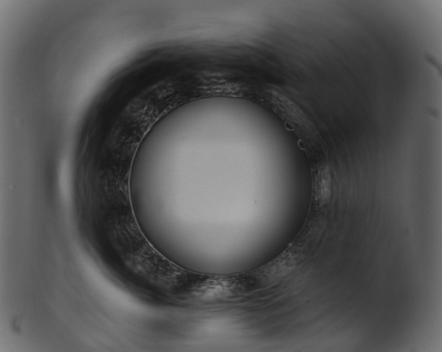 X0000101120764200807031803