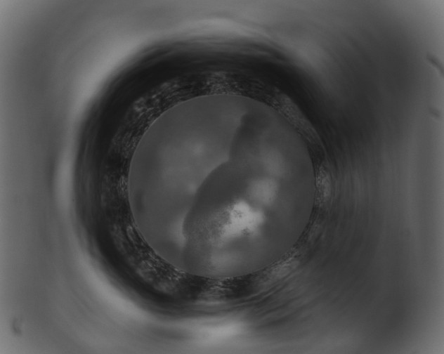 X0000101120765200807031803