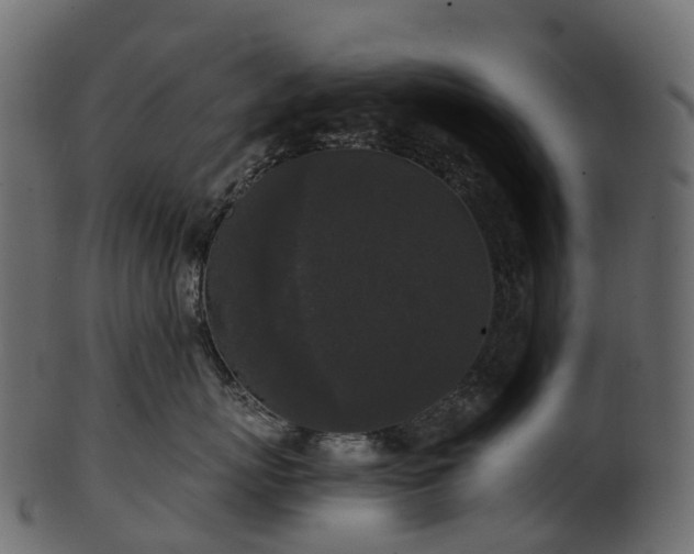 X0000101120767200807031803