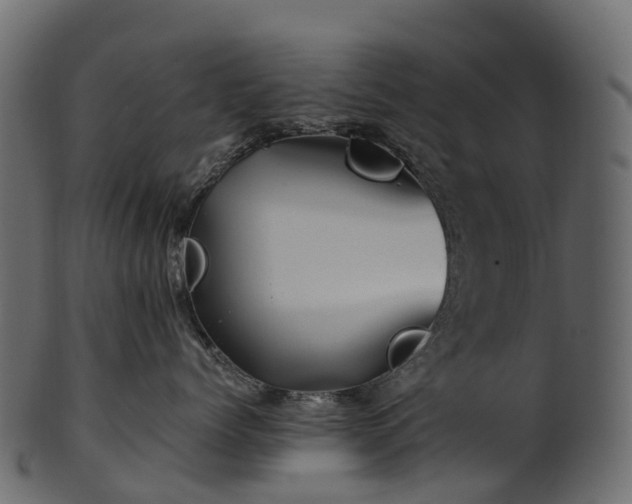 X0000101120768200807031803
