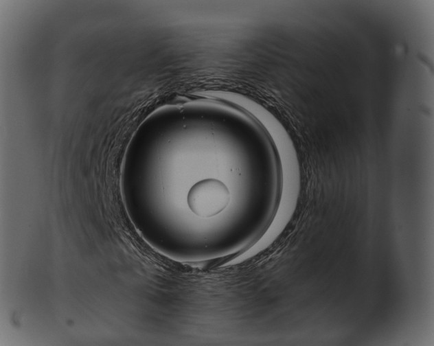 X0000101120769200807031802