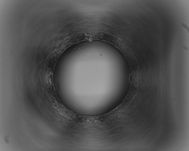 X0000101120770200807031802