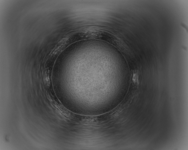 X0000101120771200807031802