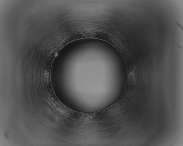 X0000101120772200807031802