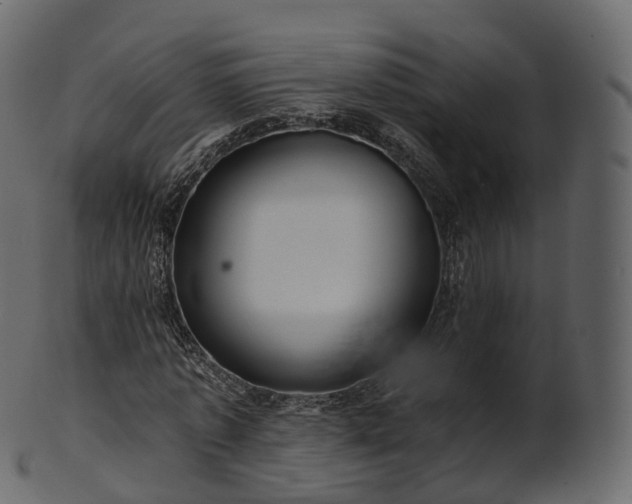 X0000101120773200807031802
