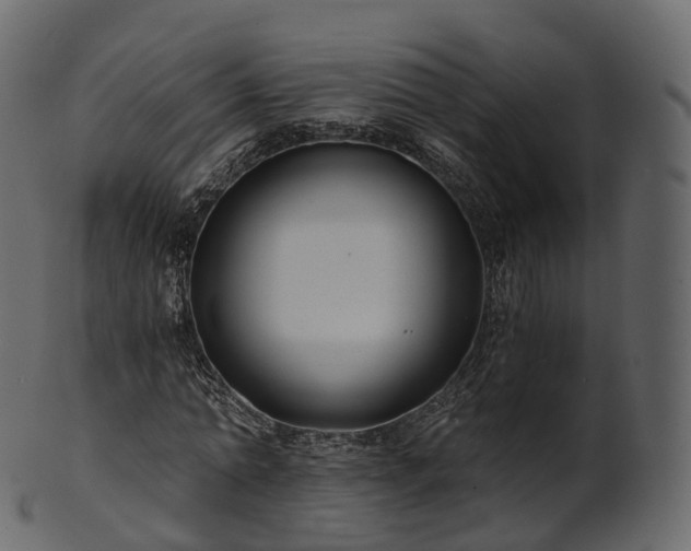 X0000101120774200807031802