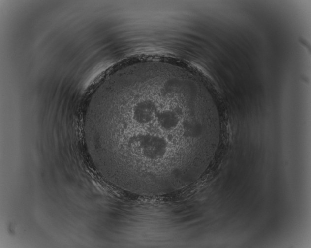 X0000101120775200807031802