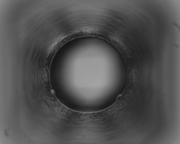 X0000101120776200807031802