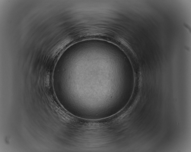 X0000101120777200807031802