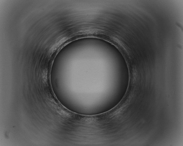 X0000101120778200807031802