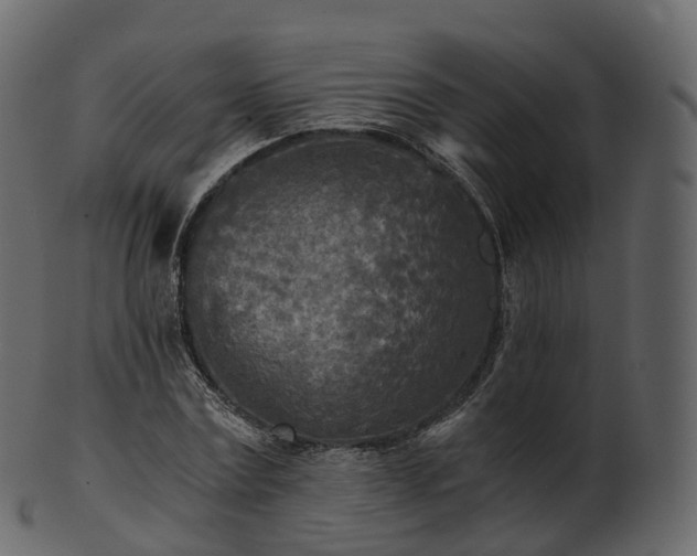 X0000101120779200807031802