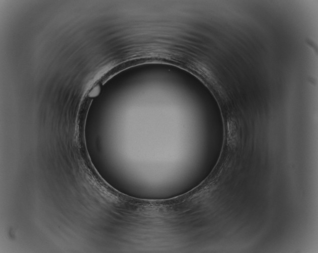 X0000101120780200807031802