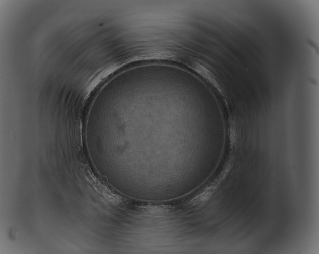 X0000101120781200807031802