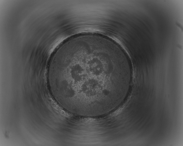X0000101120783200807031802