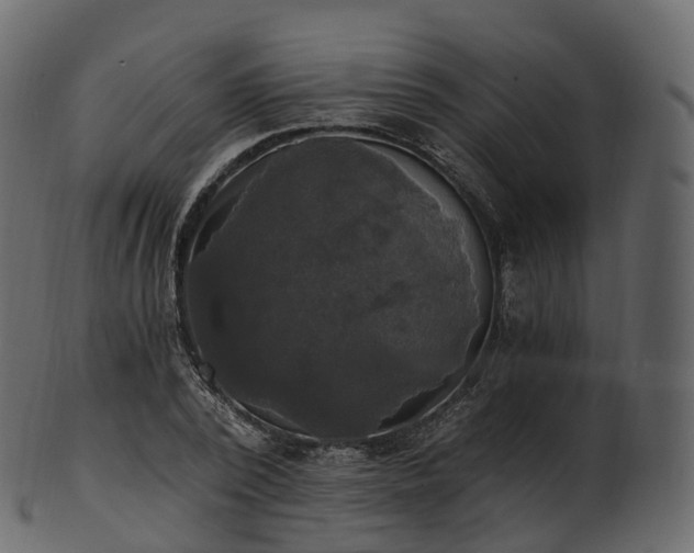 X0000101120784200807031802