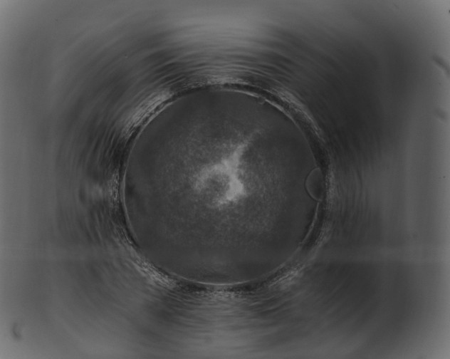 X0000101120785200807031802