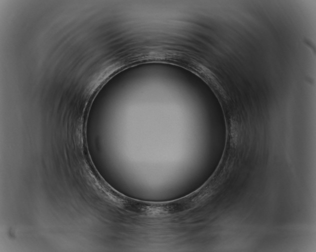 X0000101120794200807031802