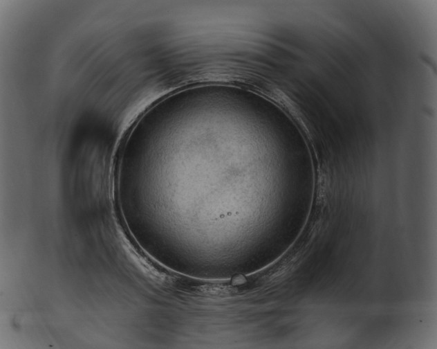 X0000101120795200807031802