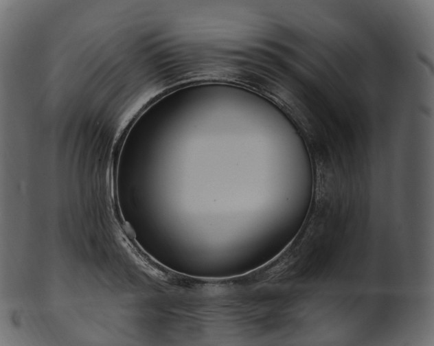 X0000101120796200807031802