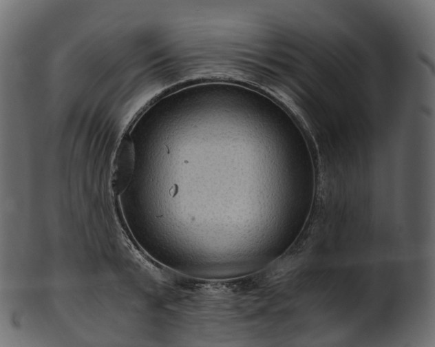 X0000101120799200807031802