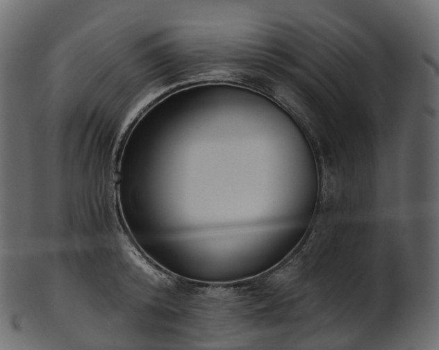 X0000101120800200807031802