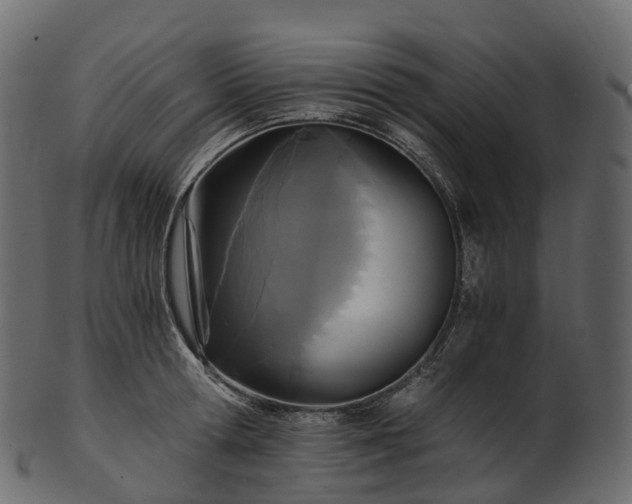 X0000101120802200807031802