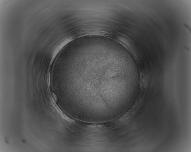 X0000101120804200807031802