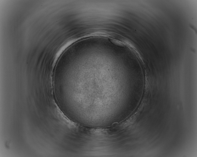 X0000101120808200807031802