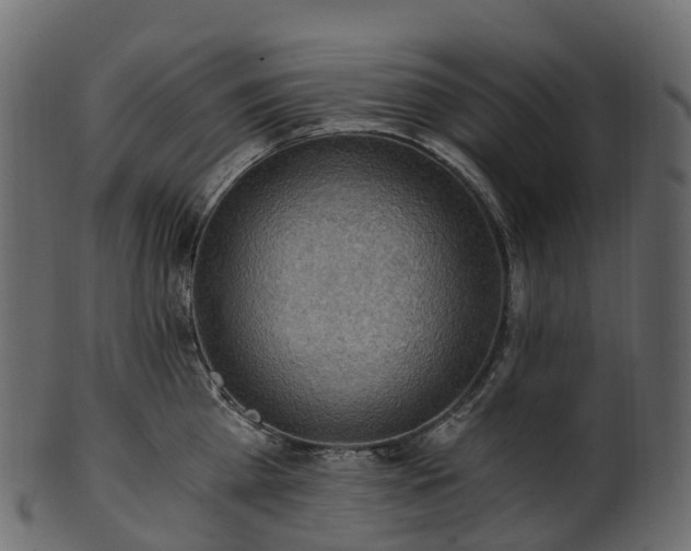 X0000101120809200807031802