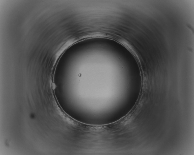 X0000101120813200807031802