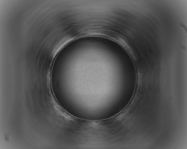 X0000101120814200807031802