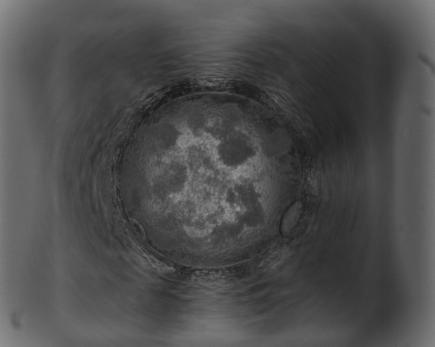 X0000101120817200807031801