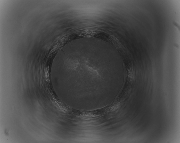 X0000101120818200807031801