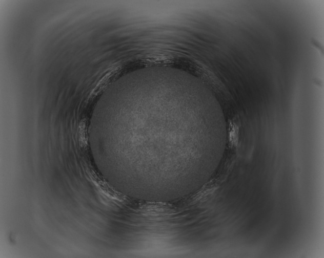 X0000101120819200807031801