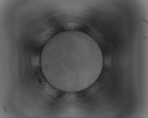 X0000101120820200807031801